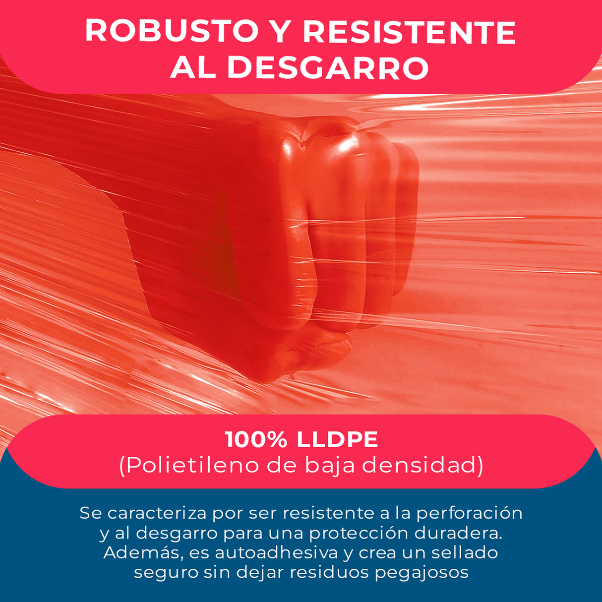 png_1500x1500_62134713