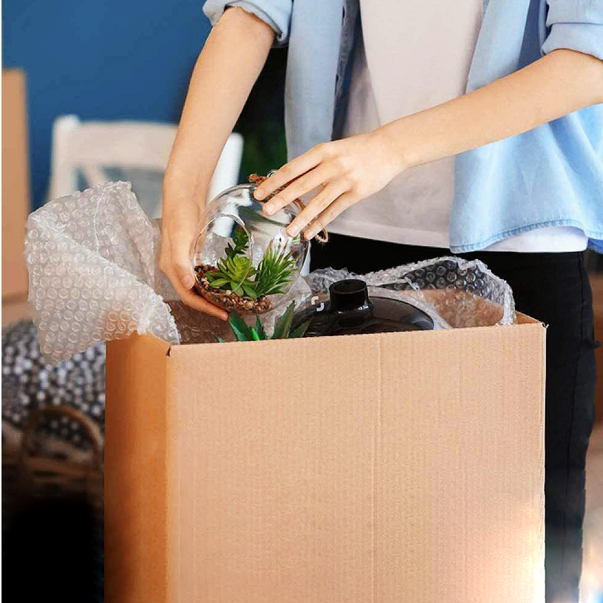 png_1500x1500_62263625